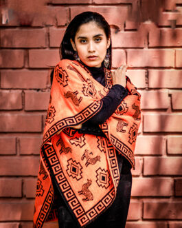 Poncho Chacana with Llama